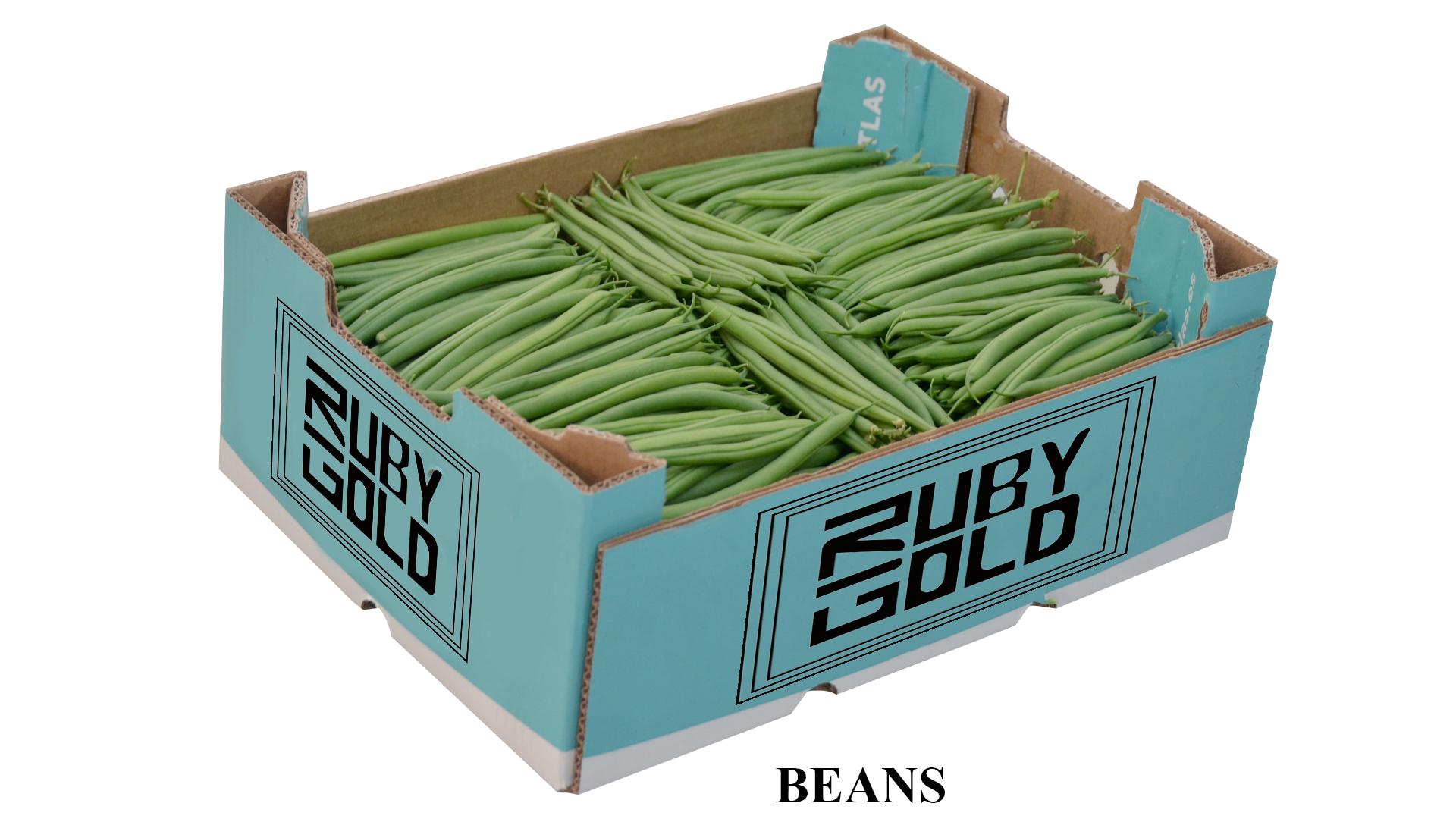 Beans