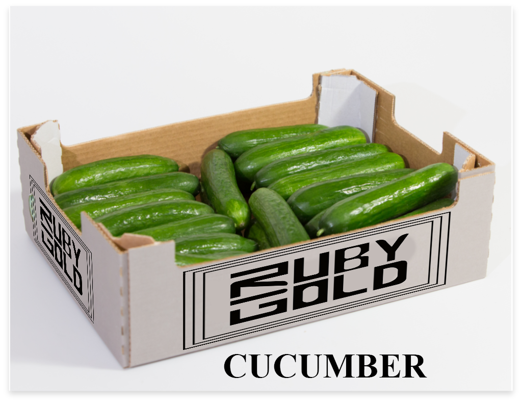 cucumber