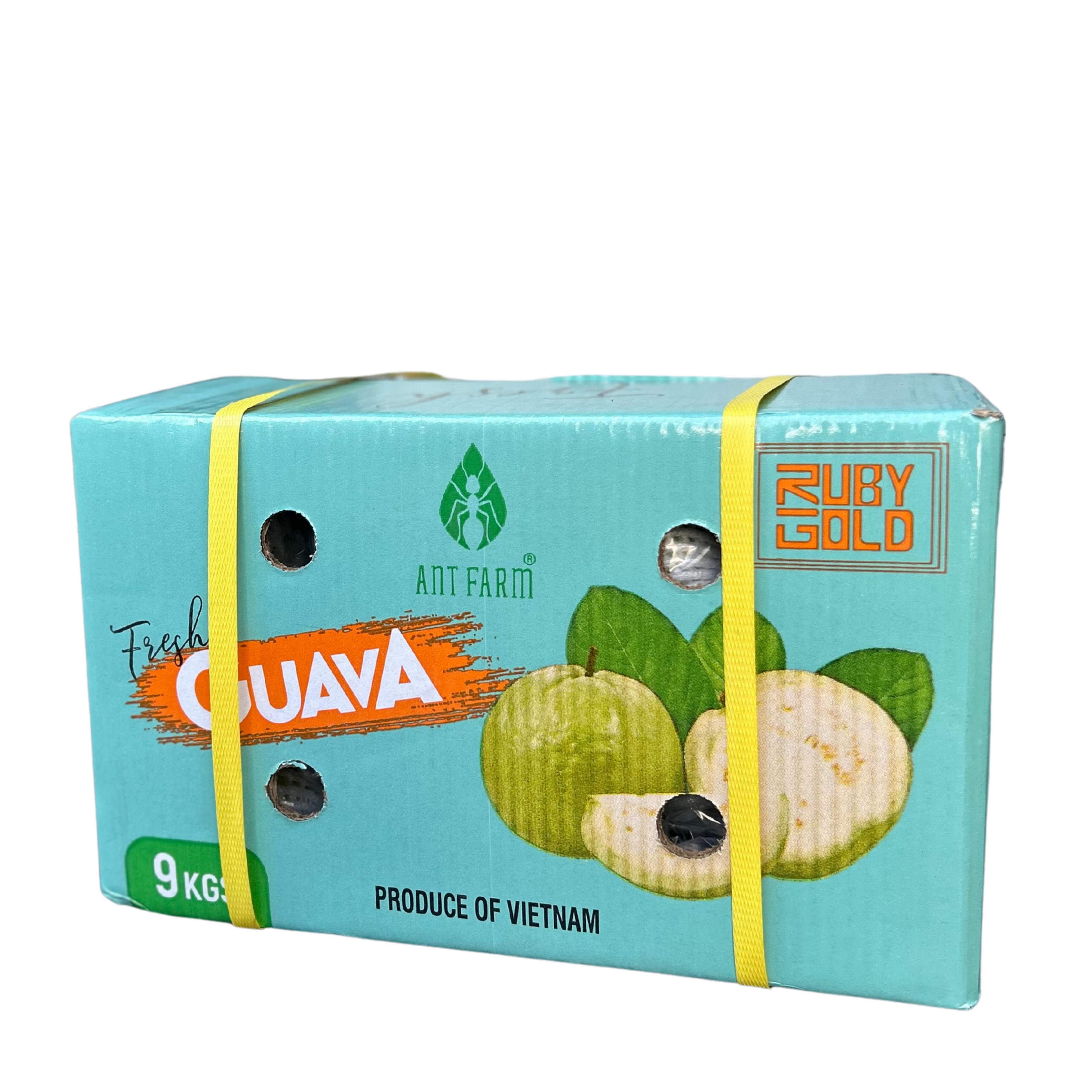 guava