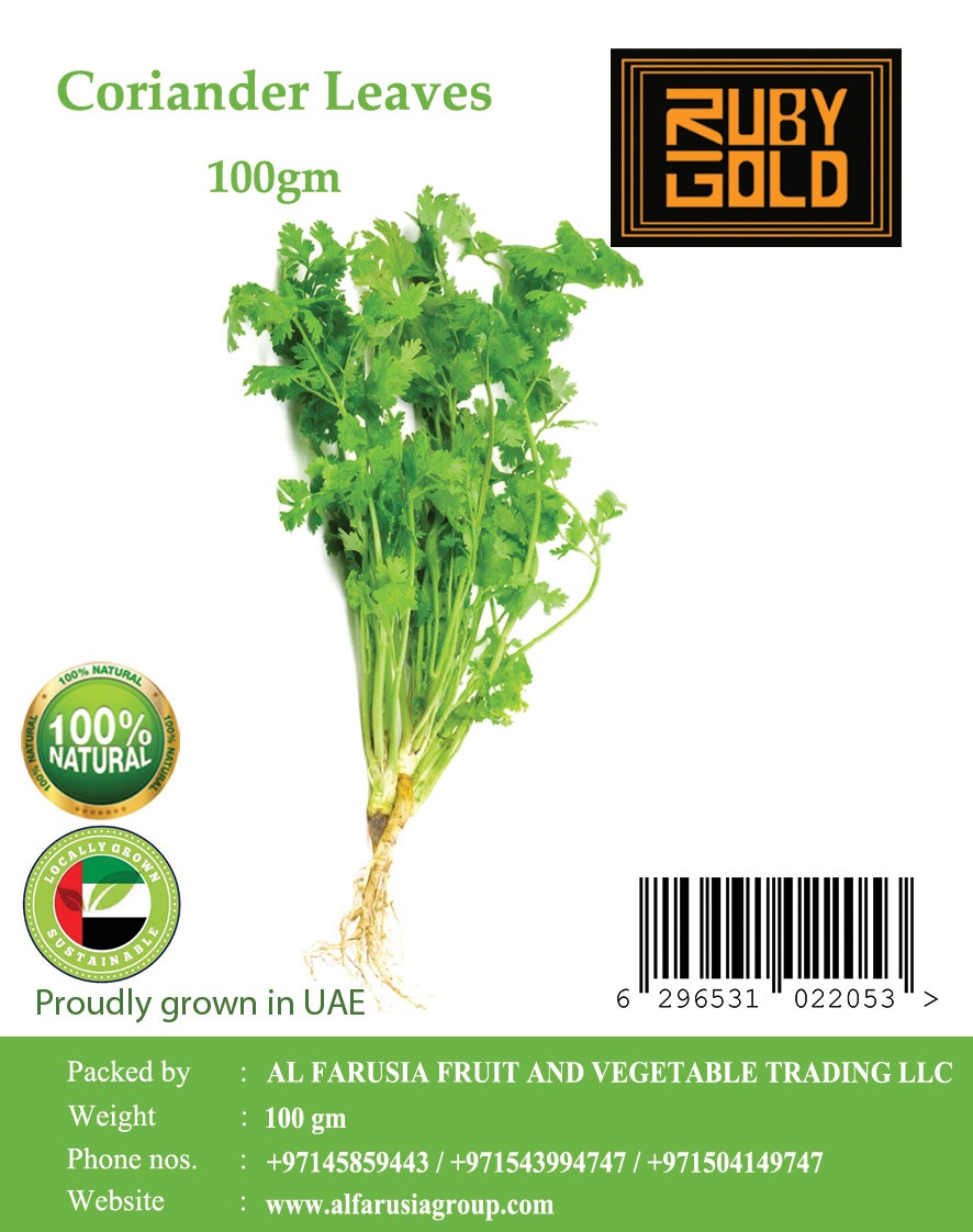 Coriander